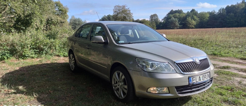 Skoda Octavia cena 18000 przebieg: 240000, rok produkcji 2010 z Łask małe 232